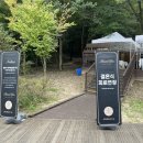 꿈엔들 | 북서울꿈의 숲 야외 결혼 케이터링 제이 시식 후기