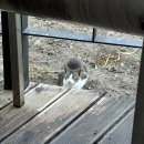 말마펜션 이미지