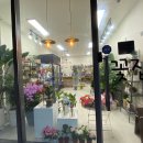 영플라워 이미지