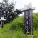 김중현 농장 티스토리