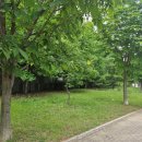 포산초등학교 이미지