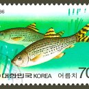 어류 이미지