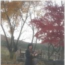 다향만리