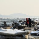 갯벌이야기 이미지