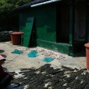 횡간도1 이미지