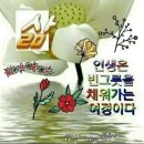 석약국 | 서울 석임플란트 보증치료 및 추가 임플란트 시술 및 유현상 의사와 홍성 홍예약국 약사의 친절함을...