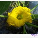 덕재농장 이미지