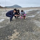 장구도 어촌계 이미지