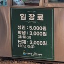 태백 해바라기 축제 다녀왔어요_내돈내산/당일치기 여행/맛집 추천