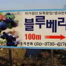 해뜰담농원
