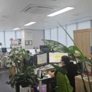 현명세무회계