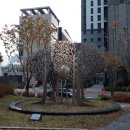 서초그랑자이, 서초구립서초그랑자이어린이집 이미지