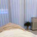 뮤즈온담 에스테틱