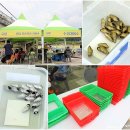 (구)김화교 이미지