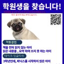 바른길교육 - 안양시 동안구 평촌대로 116 | 바른길교육