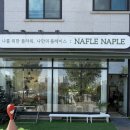 김포 장기동 감성꽃집 화병세트 추천 / 나플나플 후기