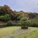 행복하개(happydog)연천애견펜션2호점 | 연천펜션 깔끔하고 쾌적한 행복하개 애견 펜션 방문 후기