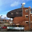 화석 2002 이미지