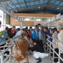 우정축산 이미지