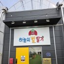 작은별어린이집 | [현직 어린이집 간호사 후기]하늘의 별딸기 체험 견학 후기