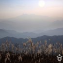 억새 물결 출렁이고 별 소나기 내리는 황매산오토캠핑장 이미지