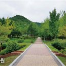 북초등학교(병설유치원포함) 네이버블로그