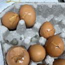 대구신문 강현국의 디카시읽기 황주은시인의 로켓배송 이미지