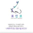 포인코