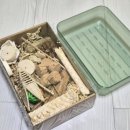 기타 | 🛍앵무새 장난감&amp;기타 용품 후기 | 브리더스퀄리티, 푸롱이네 놀이터 | 앵무새 장난감, 횃대