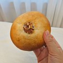 지브로 | 아이도 좋아한 속 편한 건강빵,지브로와 선수빵 4종 솔직 후기