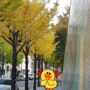 직지길(1) 이미지