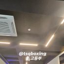 TSQ BOXING 이미지