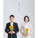 다즐링 이미지