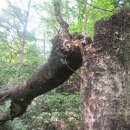 단산우체국 이미지