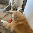 사임당로19길 10 (3) 이미지