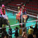 점보빌리지 이미지