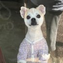 제이앤제이그루밍 이미지