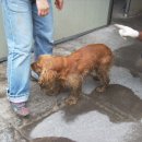 신성세차장 이미지