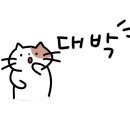 사임당로23길 41 이미지