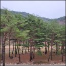 케어빌 이미지