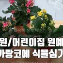 이리부천초등학교병설유치원 이미지