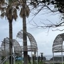 해화탕건물 이미지