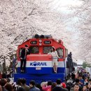 경남 대표 꽃 축제 이미지