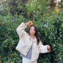 제주하뭄 이미지