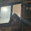 여우 PC방 | 울지? 울었지? 눈 촉촉해졌지?