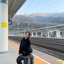 하나파밀리에부티크호텔 | 쓰촨 자유여행 청두 귀라이치 부티크 호텔 솔직후기