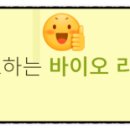 주식회사 셀투바이오 이미지