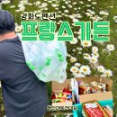 스텔라 펜션 | 강화도 단체 독채 펜션 내돈내산 프랑스가든 스텔라
