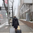 [공지] [해외웨딩스냅] 푸르던 삿포로 웨딩스냅 - 비에이 코스 2탄 (촬영당일 24시)