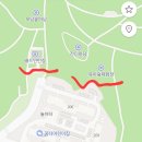 모담산 유아숲체험원 이미지